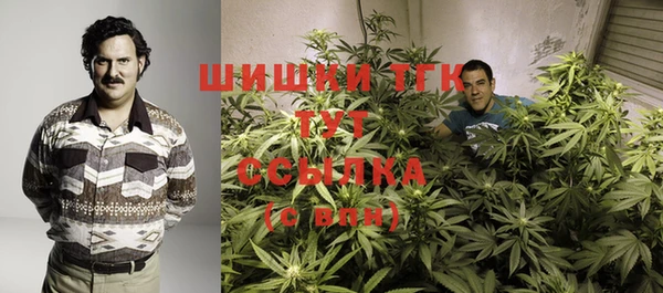 ешки Вязьма