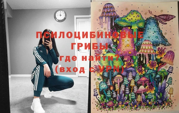 ешки Вязьма