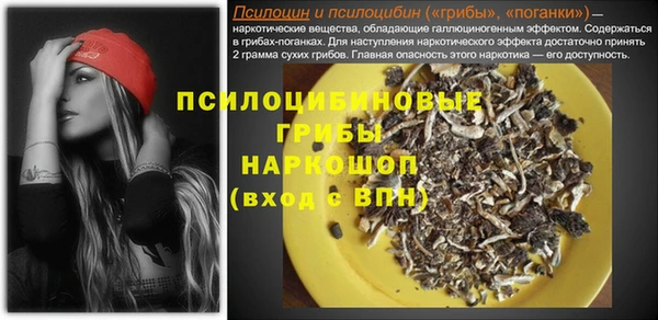 ешки Вязьма