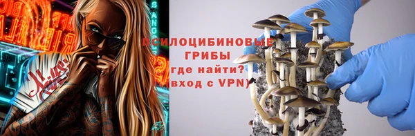 ешки Вязьма